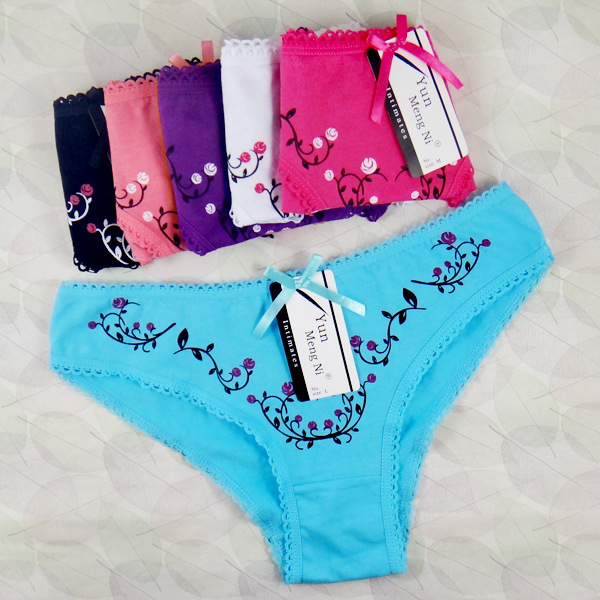 Image of 6PCS/lot Sexy Lace Women Underwear Cotton Underwear womens free shipping