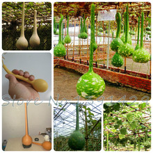10/ bag Dipper Gourd Seeds,12″ long necks bulbs 5-7″ diameter climbing melon seeds, as container, bottle, or musical instrument