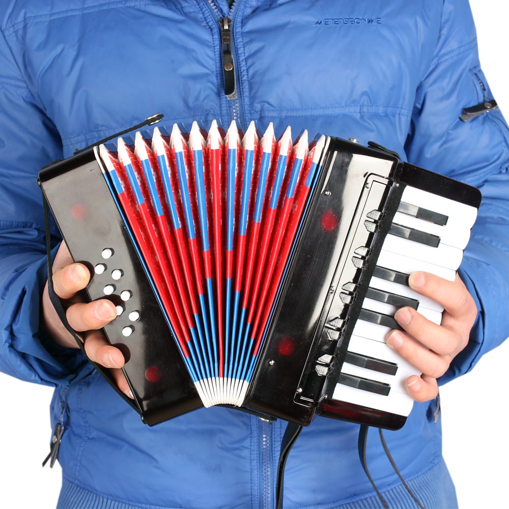 accordion musical instrument