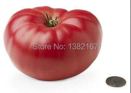 Image of 200 SEEDS - GIANT MONSTER TOMATO Seeds Easy Planting Farming vegetales Tomate semillas