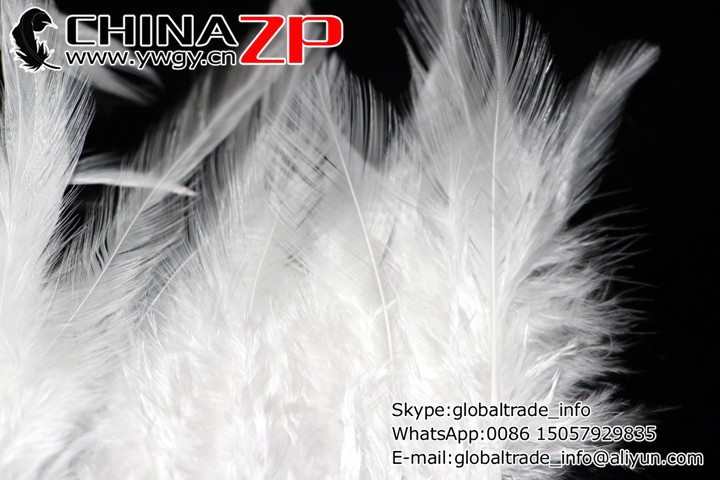 Rooster Saddle Feathers Trim (40)