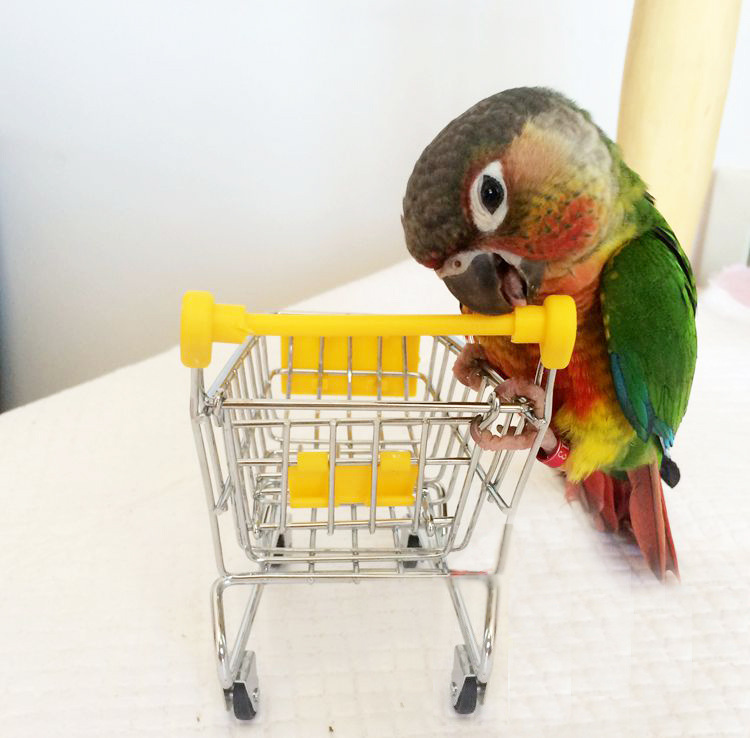 New Fashion Small parrot Toys Mini Trolleys Parake...