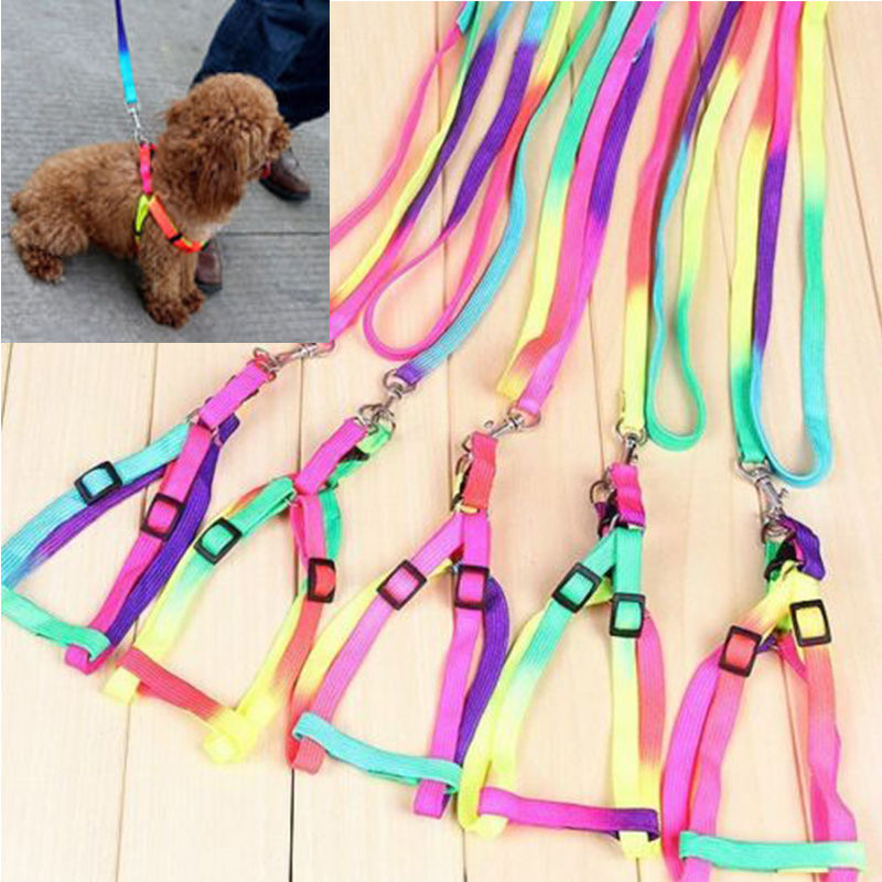 Image of 1.2M Rainbow Mascotas Pet Dog Puppy Leash Soft Walking Harness Lead