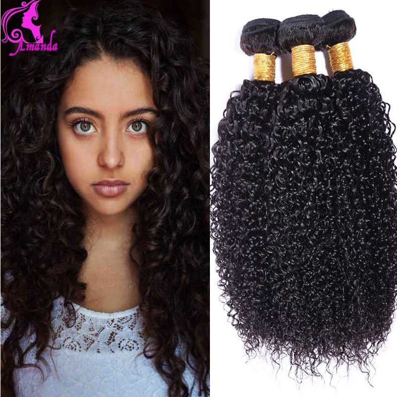 Malaysian Kinky Curly Virgin Hair 4 Bundles Malaysian Virgin Hair Afro Kinky Curly Hair Malaysian Curly Weave Human Hair Natural