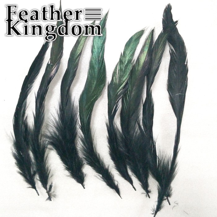 black rooster feather
