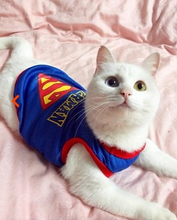 New Arrival Summer pet vest clothing for cats dog Breathable cool shop gatos roupa para gato