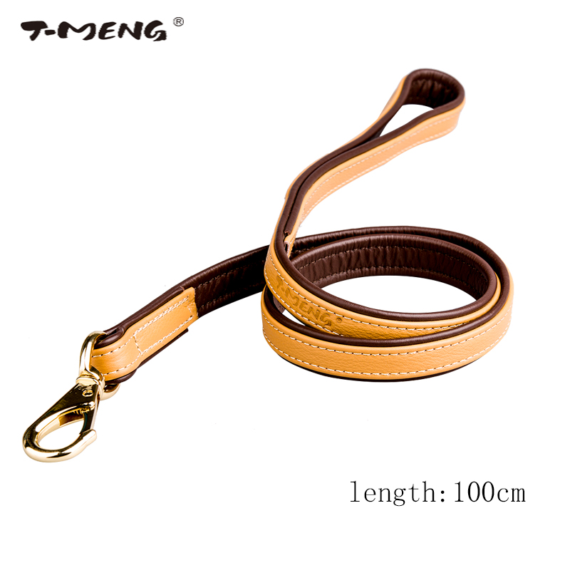 dog leash brands