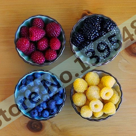 Image of Free shipping, 4 kinds of color 4000 PCS raspberry seeds (1000 blue, 1000black, 1000 red, 1000 yellow) delicious fruit plants