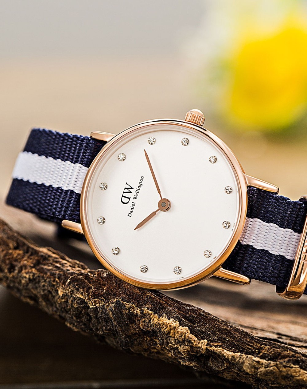 Часы Daniel Wellington Магазины В Москве