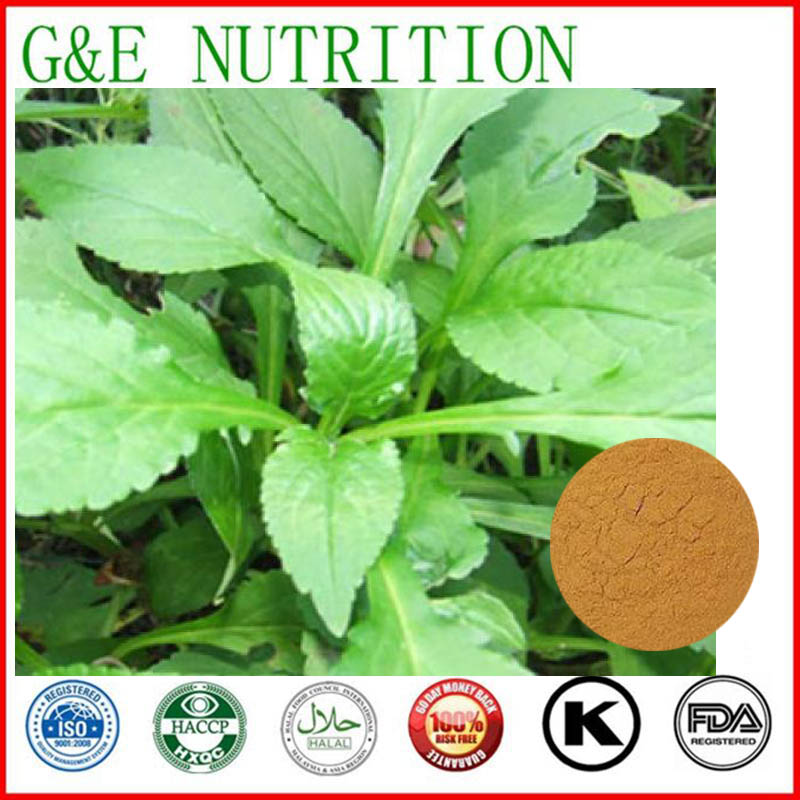 800g Patrinia/ Dahurian Patrinia Herb Extract with free shipping and best price