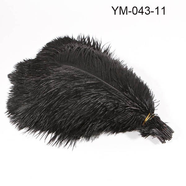 ostrich feather11-1