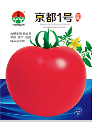 Pekin F1 Bright Pink Big Tomato Seeds, 1 Original Pack, Approx 300 Seeds / Pack, Heirloom Tomato Vegetables #NX034