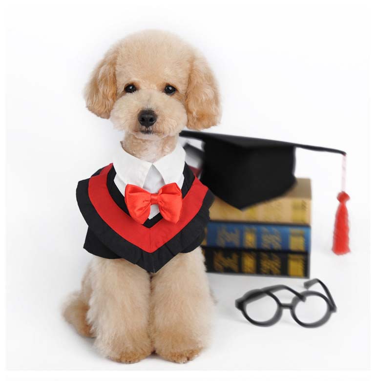 Black Dog Clothing Coupons Black Dog Clothing Coupons