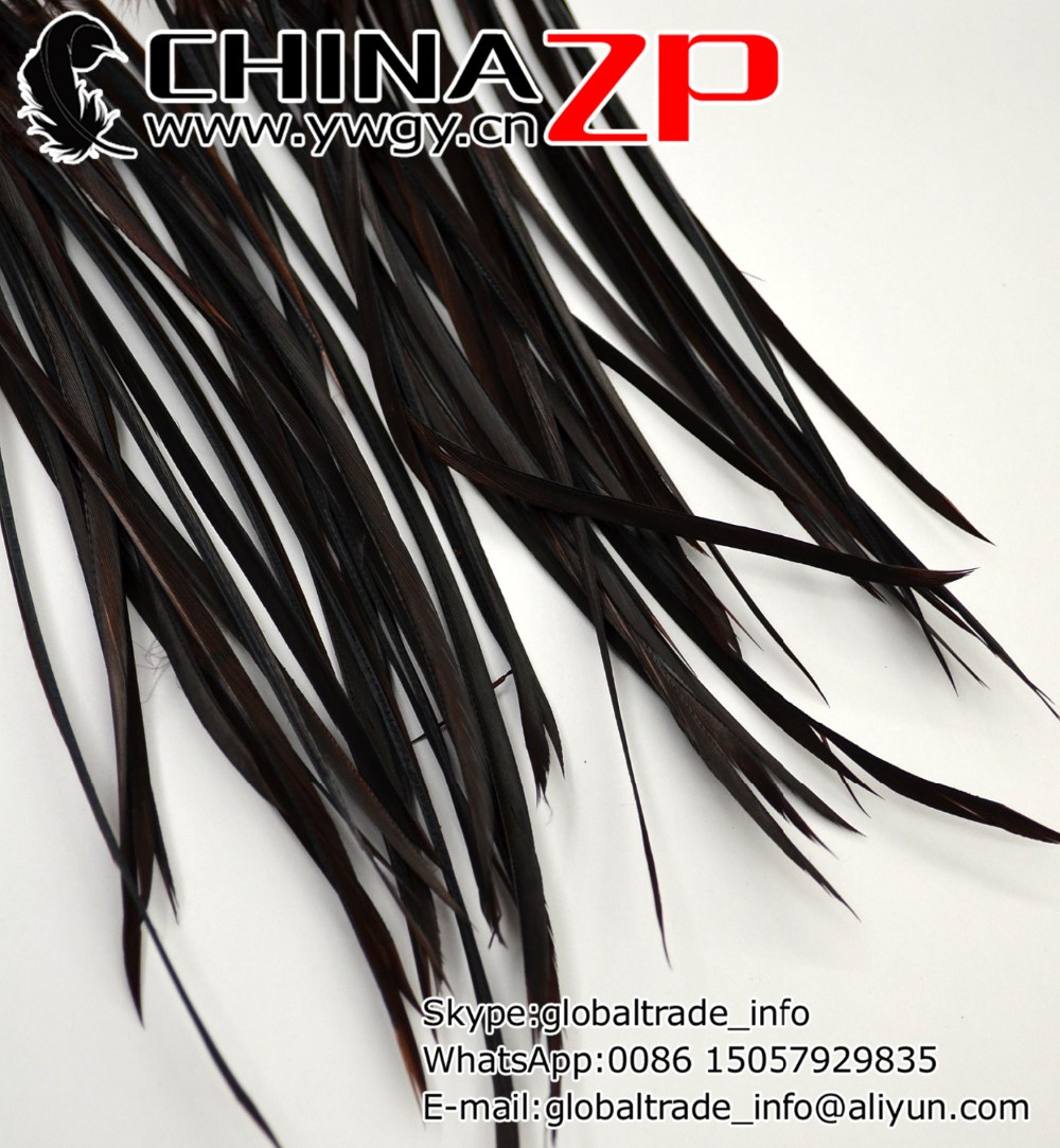 20 pcs - Goose Biots Feathers, Ebony Brown, Loose, can be curled, ironed, no. 0312
