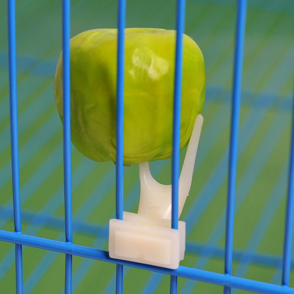 Pet Bird Names on Bird Bytes Pet Bird Directory - Nice collection of pet bird names, send parrot bird name, choose a pet bird name, parrot name.