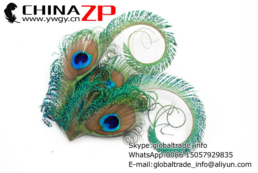 Zany - Unusual peacock hair accessory3