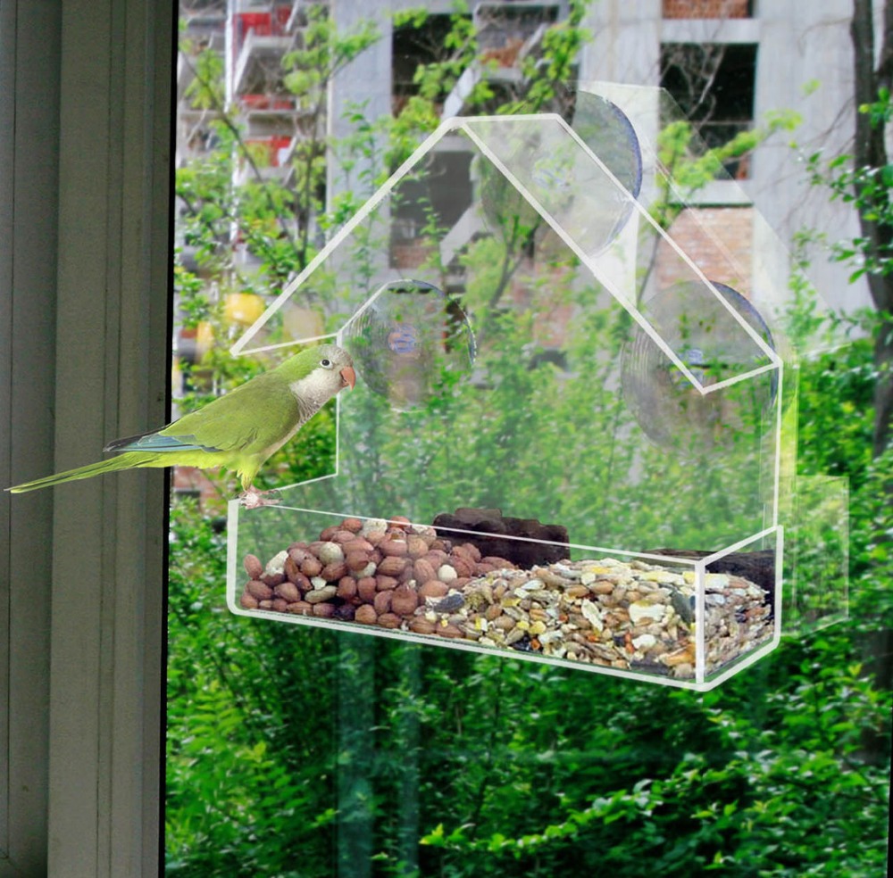 cat window bird feeder