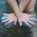 Nice Flying Fish Webbed Flippers Silicone Material Palm Swimming Fins For Hands Free Shipping