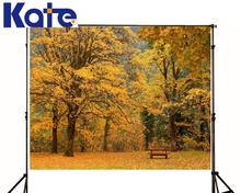 wedding Photo Backdrops Yellow Leaf Chair Photography Backdrops children Trees Sky Studio Photo Backdrop family Nature kate baby