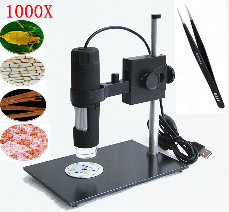 Usb Microscope Software Free