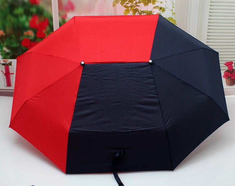 2016        Guarda - chuva    
