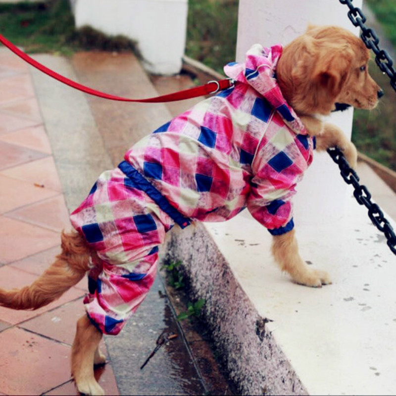 pug in a raincoat pug raincoat reviews shopping pug raincoat reviews on aliexpress pug in a raincoat pug raincoat reviews shopping pug raincoat reviews on aliexpress