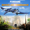 JXD 511V RC Drone with HD CAM Quadcopter 2 4G Pterosaur small axis Helicopter 0 3MP