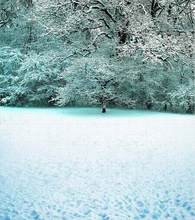2M*1.5M(6.5FT*5FT) photo studio floor Cold snow treeChristmas backgroundsZZ CM-0194