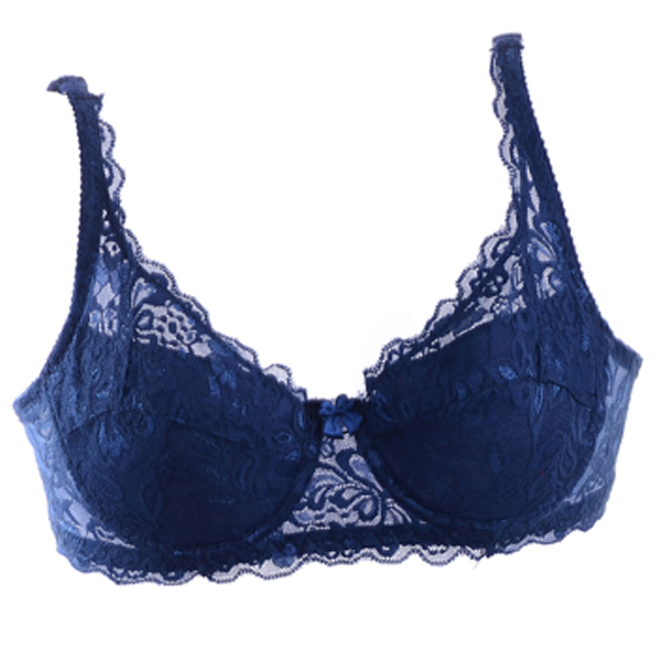 Image of Brand New Women Lace Push Up Bra Sexy Underwear 3/4 Cup Minimizer Padded Lace Sheer Bra