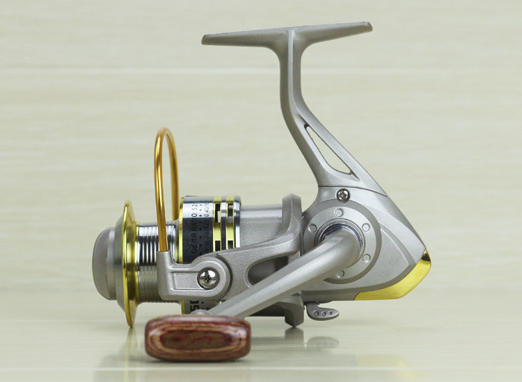 2263423176_1498406544