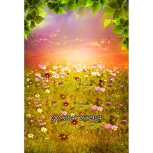 5x7ft Thin vinyl cloth photography backgrounds computer Printing backdrops for photo studio F-2332
