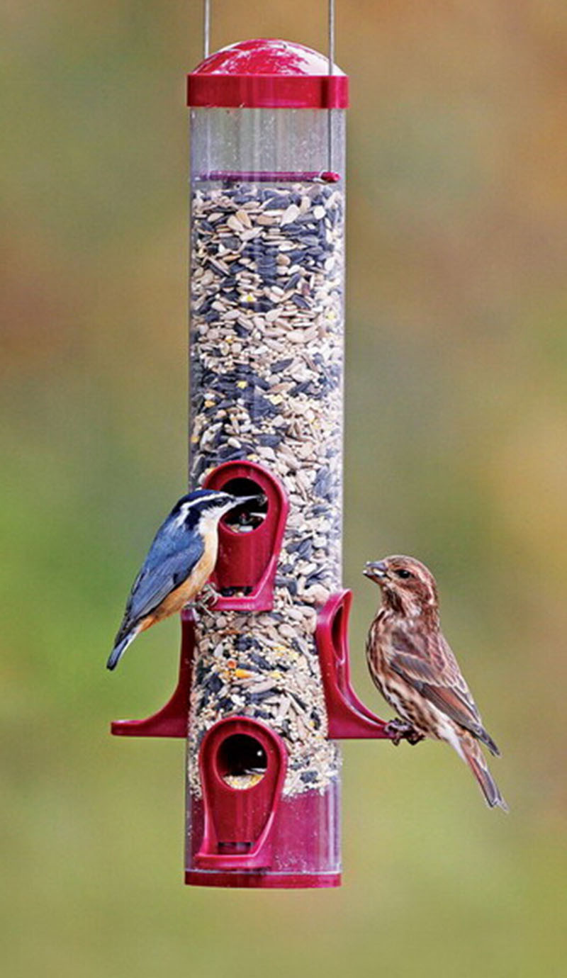 Hanging Wild Bird Feeder Garden Seed Container Finch Squirrel Proof