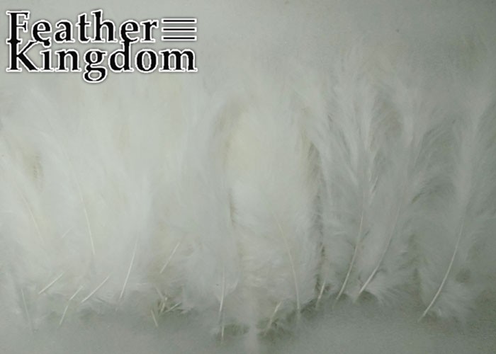white Turkey feather 1