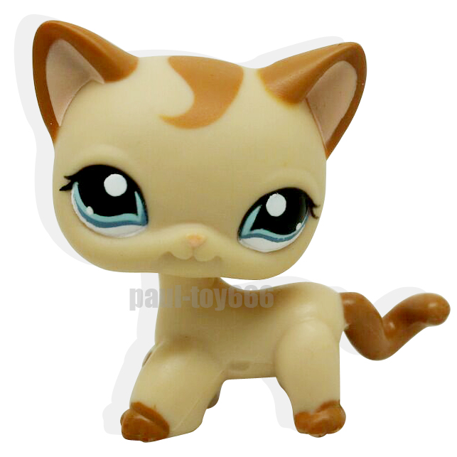 lps standing cat