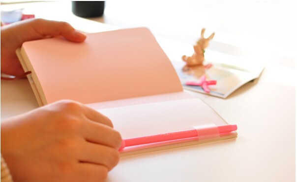 2015-2016 Cute Kawaii Notebook Cartoon Molang Rabbit Journal Diary Planner Notepad for Kids Gift Korean Stationery12