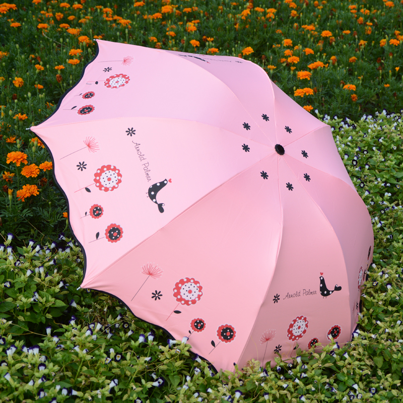3             parapluie paraguas  