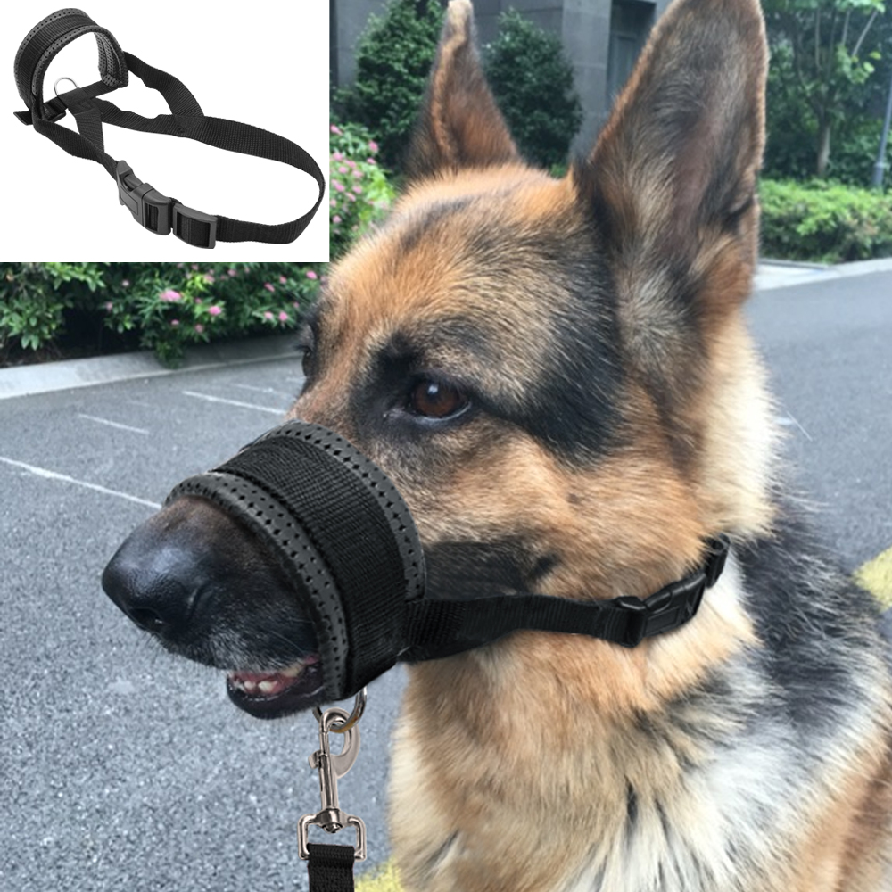 Soft Padded Pet Head Collar Champion Dog Training Halter ...
