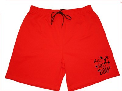 gym shark shorts summer style shorts (6)