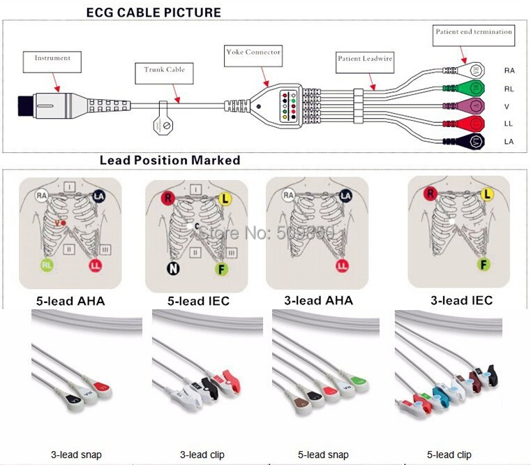 ECG .jpg