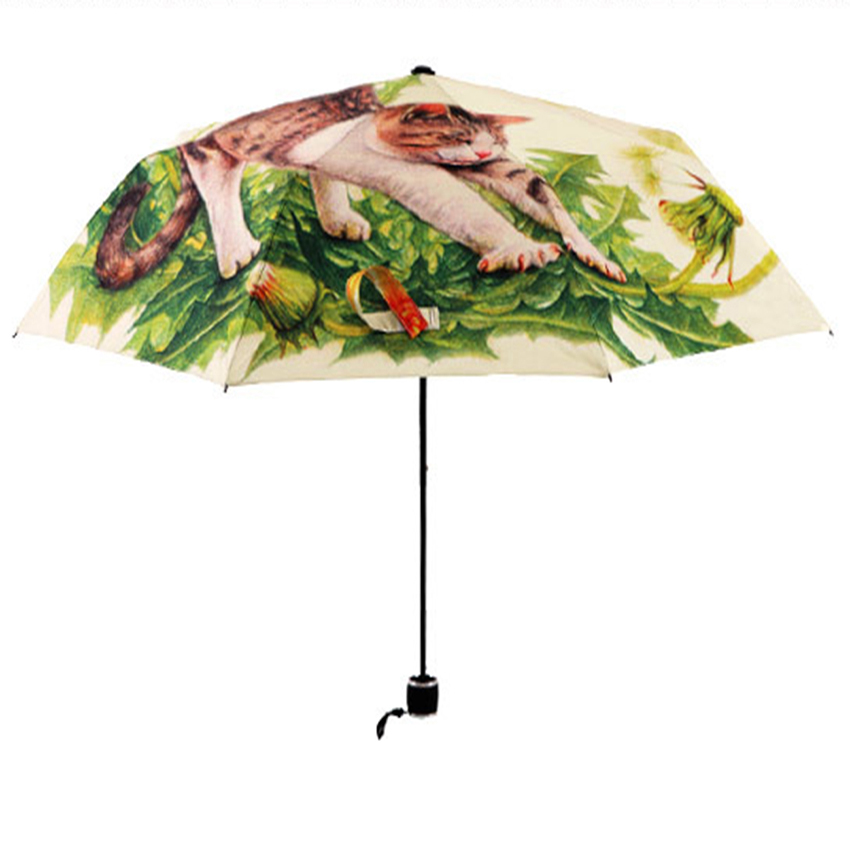          Parapluie   Paraguas -   /   