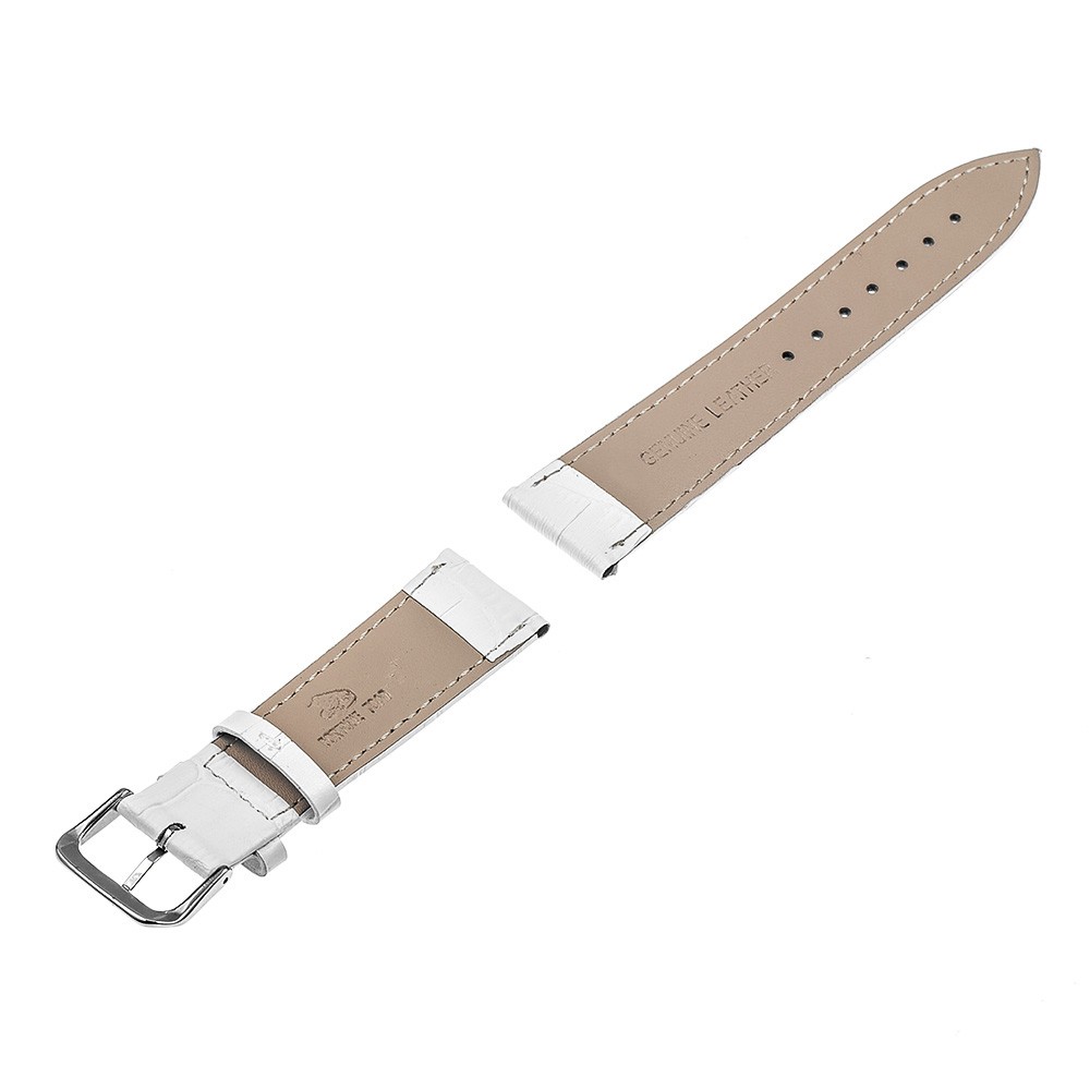 PP31W 3