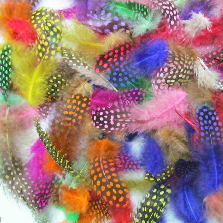 dyed feather