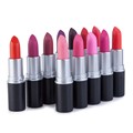 High Quality 12 Different Colors Sexy Lipstick long lasting moisturizing Lip Beauty Lip Gloss Makeup