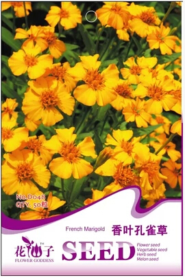 VENTA DE FLOR AL MAYOR venta de flor al mayor:
