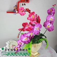 Artificial flower floral high artificial flower butterfly orchid bonsai set artificial flower decoration flower