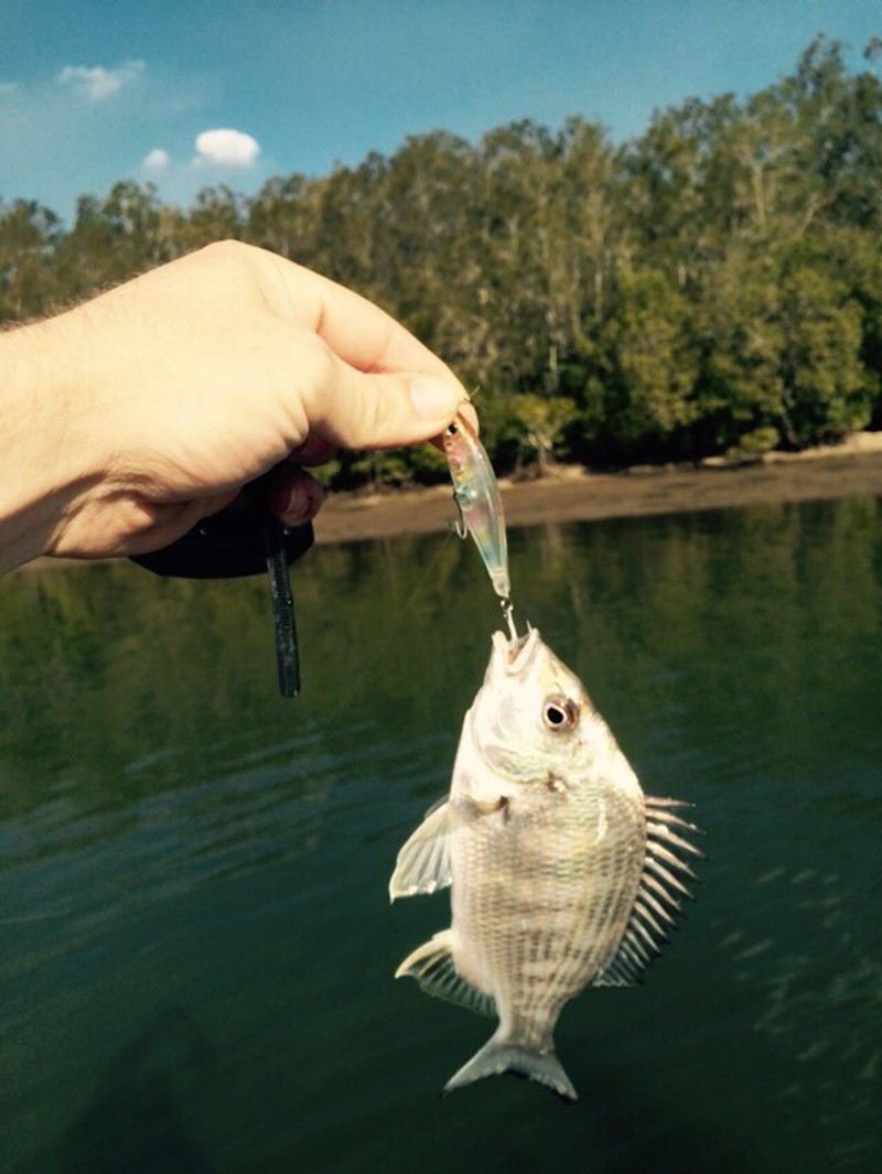 Trulinaoya Minnow 08