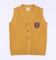 Europe And America College 5 12T Kids Knitted Vest V neck Sleeveless Autumn Child Clothing Boys