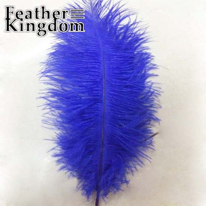 royal blue ostrich feather
