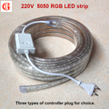 220V RGB Led Strip 5050 Waterproof Led Verlichting Neon Light Power Plug for Dimmable RGB Led
