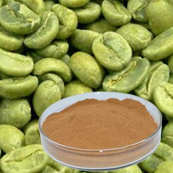 200gram Green Coffe Bean Extract 65 Chlorogenic Acid Powder free shipping